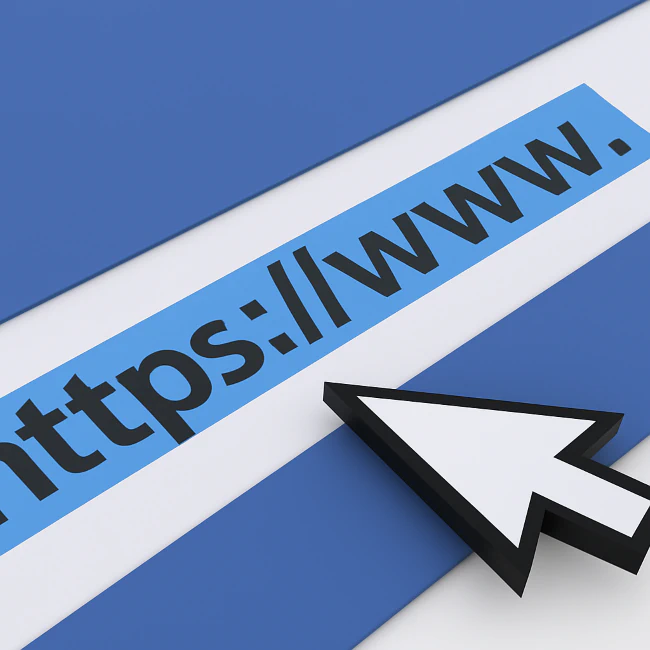 Paso 1: Introduce la URL de tu web - Captura de pantalla mostrando el proceso